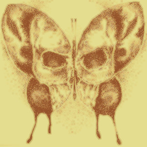 butterflying